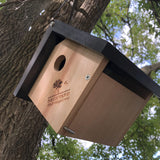 Triangle Cedar Bird House, 6.5" D x 7.1" W x 11.8" H, Natural Wood Color - Backyard Expressions BACKYARD EXPRESSIONS PATIO · HOME · GARDEN