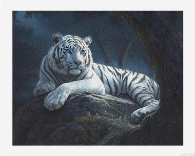 White Tiger with Blue Eyes Paint by Numbers Kit for Adults DIY Canvas Artwork Modern Art Home Decor 16x20in
