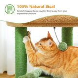 PEQULTI Cat Tree Cactus Cat Tower for Indoor Cats with Private Cozy Cat Condo, Natural Sisal Scratching Posts and Plush Pom-pom for Small Cats Green PEQULTI