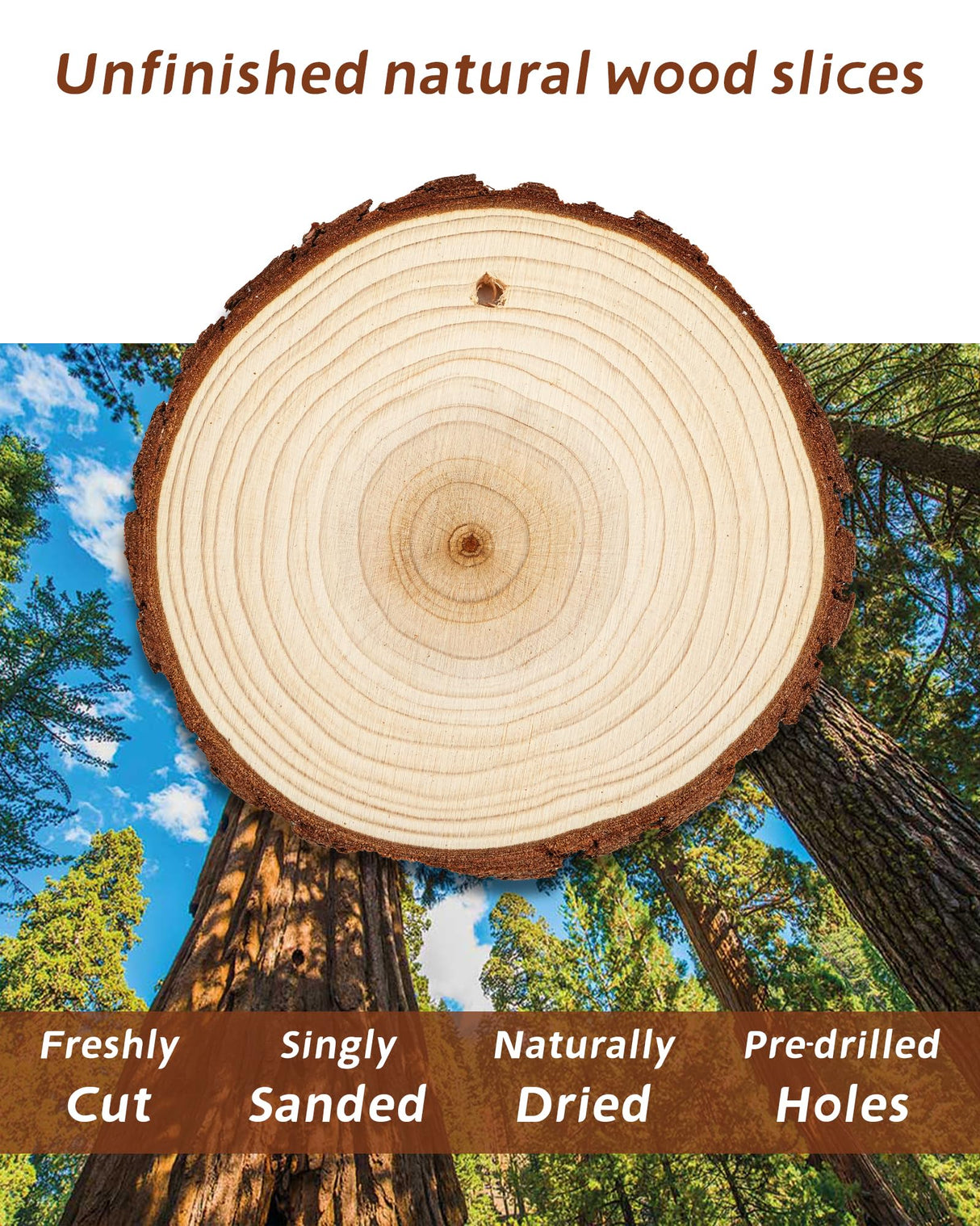 Unfinished Wood Slices with Holes for Crafts 3.5-4 inches Round Wood Circles with Bark Natural Wooden Slices Craft Wood Slices for Ornaments Bulk Blank Wood Circles Wooden Chips Round Wood Chips 26PCS dukclyn