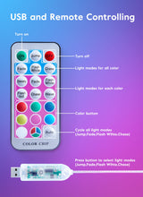 Minetom Fairy Lights Color Changing - 33FT 100 LED String Lights with Remote,11 Modes, USB Fairy Lights Indoor, Twinkle Christmas Fairy Light for Bedroom Indoor Classroom Minetom