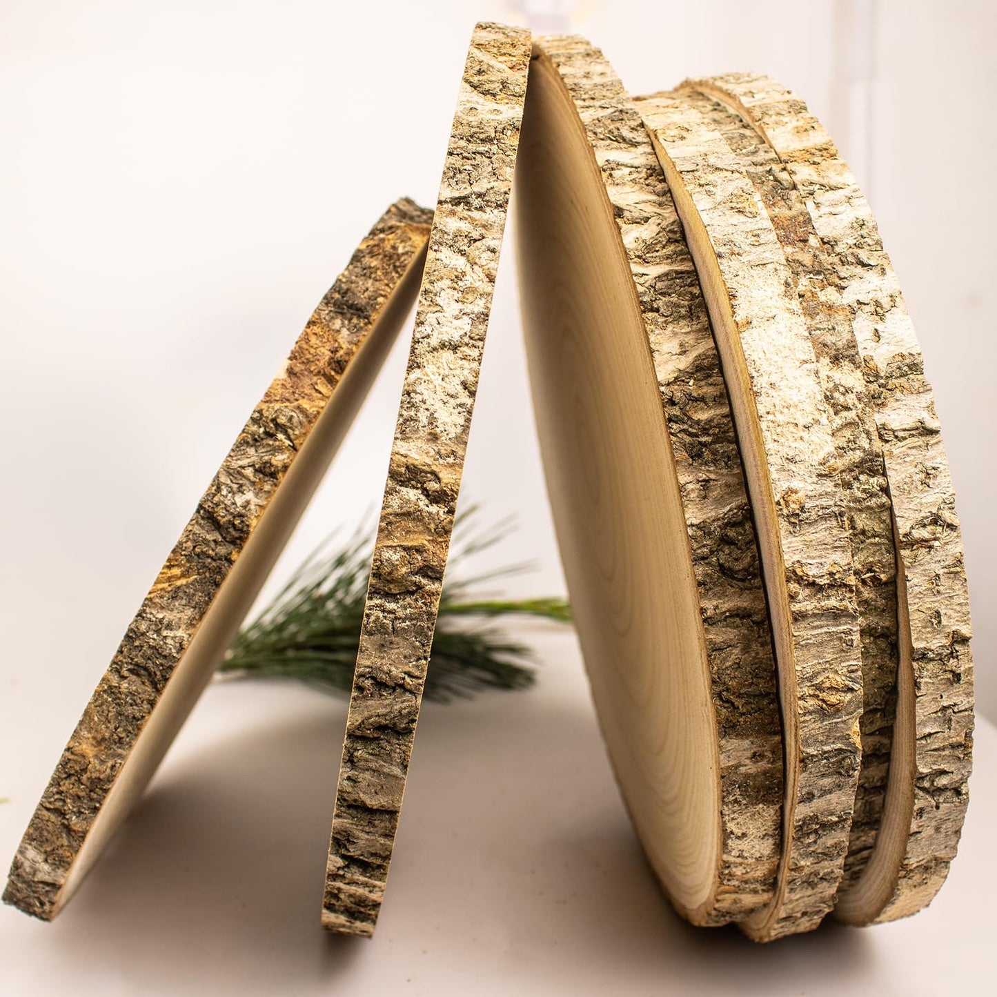 Natural Wood Slices 1 Pcs 8-9 Inches Large Wood Slices for Centerpieces Unfinished Wood Rounds for Crafts and Table Decorations Rustic Wedding Centerpiece Wood Circles for Holiday Decor DIY Projects