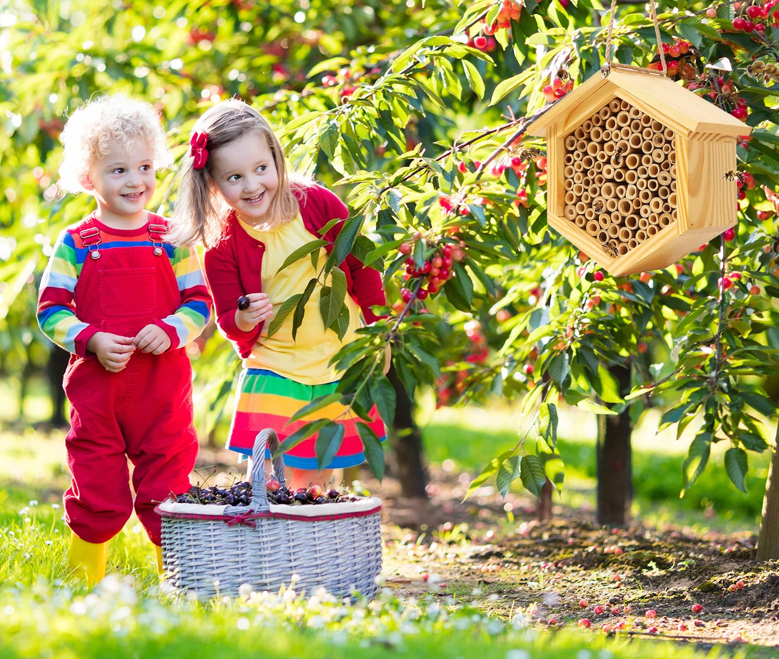 Mason Bee House Native Bee Hive Hexagon Bee House Natural Handmade Wooden Mason Bee Box Habitat Home Hotel with Bamboo Tubes -Attracts Peaceful Bee Pollinators to Enhance Your Garden's Produc - WoodArtSupply