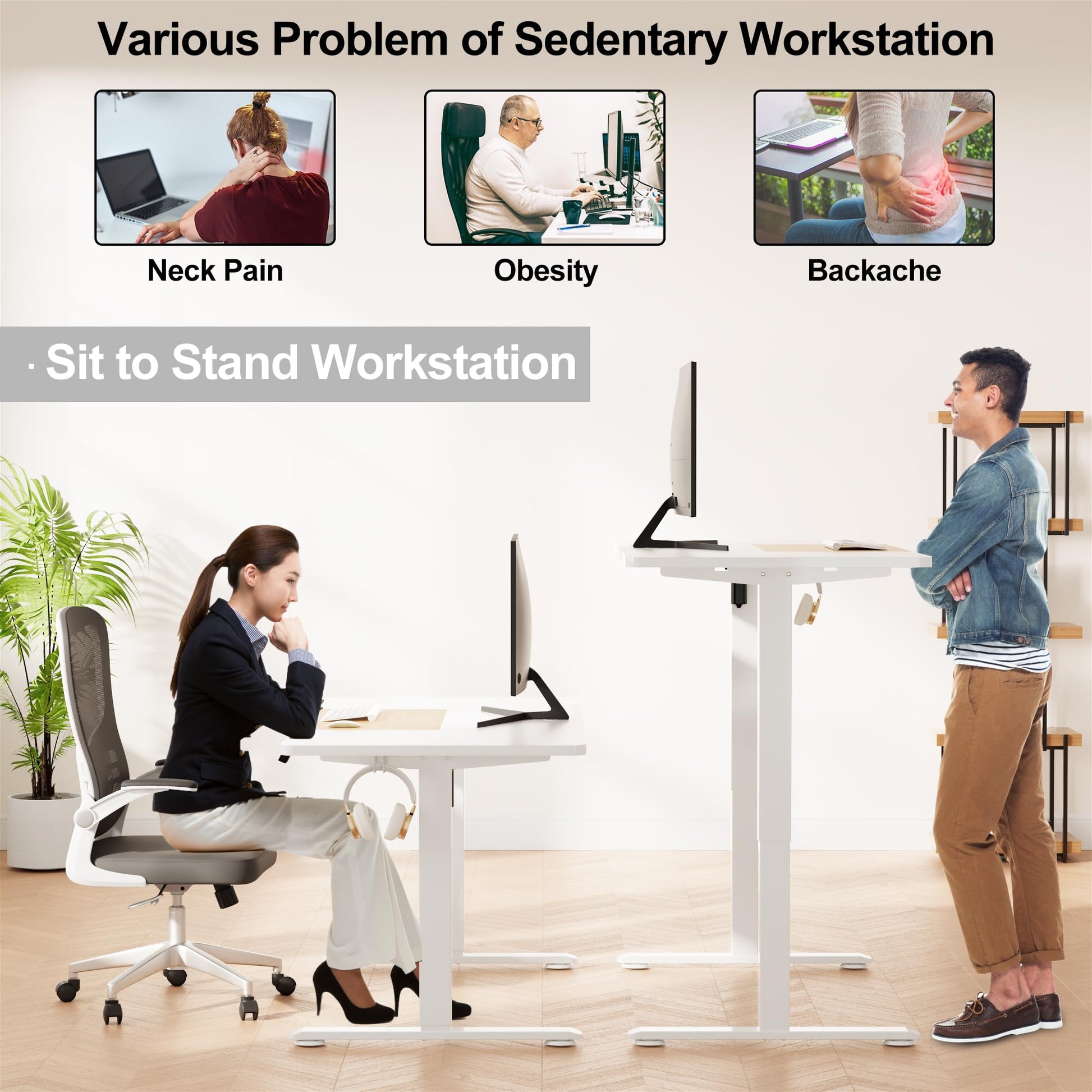 WOKA Electric Height Adjustable Electric Standing Desk, 55 x 28 Inch Sit Stand Desk with Memory Controllers, Stand up Desk for Home Office, White and Oak Tabletop - WoodArtSupply