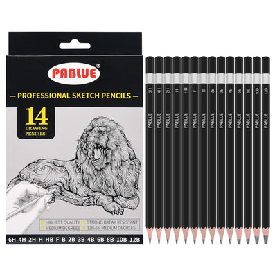 PABLUE Professional Triangular Drawing Sketching Pencil Set,6H,4H,2H,H,HB,F,B,2B,3B,4B,6B,8B,10B,12B Graphite Shading Pencils for Beginners,ProArtists,Drawing,Drafting,Sketching,Shading(14 Pcs)