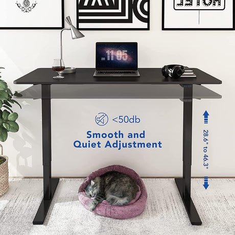 FLEXISPOT Standing Desk, Electric Height Adjustable Desk 48 x 24 Inches Sit Stand Desk Home Office Desk Whole-Piece Desk Board (Black Frame + 48 in Black Top) FLEXISPOT