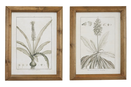 Deco 79 Wood Leaf Framed Wall Art with Brown Frame, 2 Count(Pack of 1) 17"W, 22"H, Light Brown Deco 79