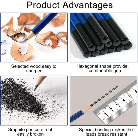 Daerthotk Pencils Drawing Sketching Set 14 pcs Graphite (12B - 6H) Kit Soft Pencils Ideal Gift for Drawing Art, Sketching, Shading, Artist Pencils for Beginners Pro Artists Daerthotk