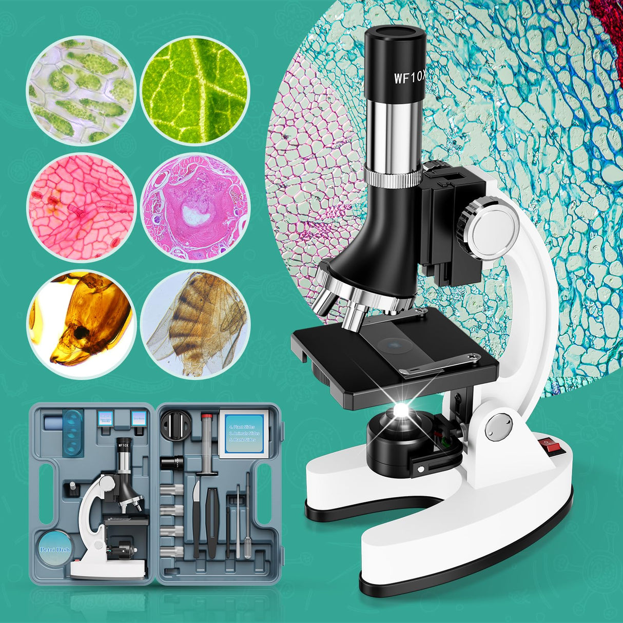 1200X Kids Microscope Science Kit - Handheld Microscope for Kids with Prepared Slides Metal Body LED Light Carrying Box Educational Compound Toy Set for Children Ages 8-12 5 Year Old Boys & Girls Gift USCAMEL