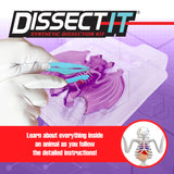 Dissect-It Simulated Synthetic Lab Dissection Toy, STEM Projects for Kids, Animal Science, Biology, and Anatomy Home Learning Kit, Bat Dissect It