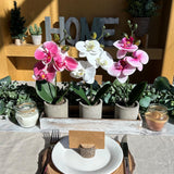 Winlyn Set of 3 Small Artificial Orchid Potted Plants Arrangement with Rustic Wood Planter Box Real Touch Faux Phalaenopsis Moth Orchid Flowers in Pots for Home Office Desk Shelf Table Centerpiece Winlyn