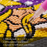 DIY 5D Diamond Painting Kits, Handmade Diamond Painting Kit, Exquisite Decorative Artwork, Perfect for Home and Office Art Creation Aooble