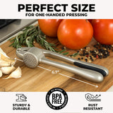 Zulay Kitchen Premium Garlic Press Set - Rust Proof & Dishwasher Safe Professional Garlic Mincer Tool - Easy-Squeeze, Easy-Clean with Soft, Ergonomic Handle - Silicone Garlic Peeler & Brush (Silver) Zulay Kitchen