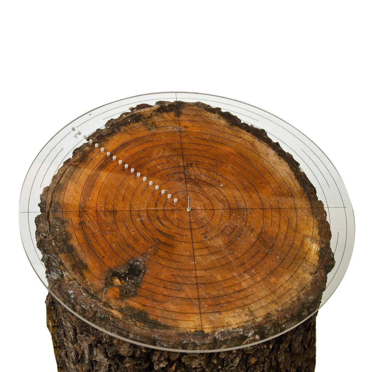 Fulton 10" Round Center Finder Woodworking Compass for Drawing Circles, Locating Center on Logs, General Stock Pieces or Irregular Shapes, Measuring Tools for Lathe and Woodturners, Clear Acrylic Fulton