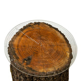 Fulton 10" Round Center Finder Woodworking Compass for Drawing Circles, Locating Center on Logs, General Stock Pieces or Irregular Shapes, Measuring Tools for Lathe and Woodturners, Clear Acrylic Fulton