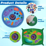 VercanMonth 2 Set Giant Felt Animal and Plant Cell Anatomy Model Kits Early Biology Cell Model Life Science Toys Animal Plant Bacteria Science Kit for Boys Girls Classroom Educational Learning VercanMonth