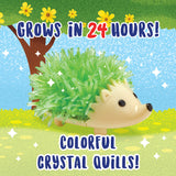 MindWare Crystal Growing Kits: Hedgehogs Bright Colors Set of 2 – Cute DIY Crystal Growing Kits for Kids & Teens – Funky mini Science Experiment in an 9pc kit – Crystals Grow in 24 Hours MindWare