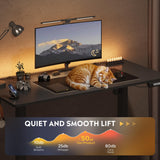 DEVAISE 48 X 24 Inches Electric Standing Desk,Height Adjustable Stand up Desk for Home Office, Ergonomic Sit to Stand Desk with Phone Holder,Black DEVAISE