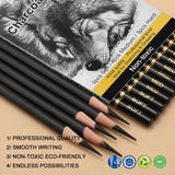 KALOUR Professional Charcoal Pencils Drawing Set -12 Pieces Soft, Medium and Hard Charcoal Pencils for Drawing, Sketching, Shading, Artist Pencils for Beginners & Artists KALOUR