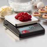 Taylor Compact Digital Portion Control Scale, Food Scale for Precise Weight Measuring and Portion Control, Tare and Hold Function, NSF, 32OZ, Stainless Steel Platform Taylor