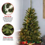 National Tree Company Pre-Lit Artificial Full Christmas Tree, Green, Canadian Fir Grande, White Lights, Includes Stand, 4 Feet National Tree Company