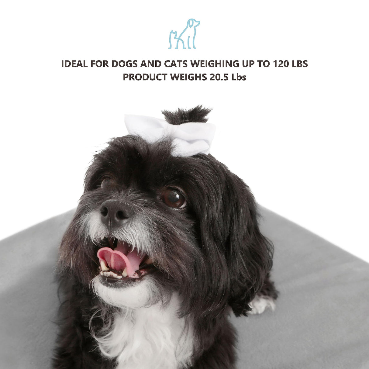 TailZzz Wooden Dog Bed with Water-Resistant Mattress, Small to Medium Elevated Pet Bed with Calming Pet Mattress, Greenguard Gold Certified, Modern Dog Couch, Winston, White TailZzz