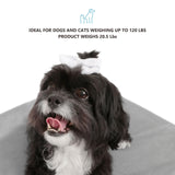 TailZzz Wooden Dog Bed with Water-Resistant Mattress, Small to Medium Elevated Pet Bed with Calming Pet Mattress, Greenguard Gold Certified, Modern Dog Couch, Winston, White TailZzz