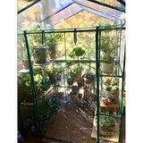 Greenhouse - Walk in Greenhouse with 8 Sturdy Shelves and PVC Cover for Indoor or Outdoor Use - 56 x 56 x 76-Inch Green House by Home-Complete Home-Complete