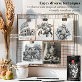 Sketch Pencils for Drawing, Set of 12 Drawing Pencils for Sketching Medium (6B - 4H), Artist Graphite Pencils, Sketch Set for Artists for Sketching Supplies, Art Supplies. Aenir