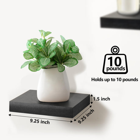 Sorbus Square Floating Shelf for Wall - 4 Small Shelves with Invisible Mounting Brackets for Living Room Decor, Bedroom, Bathroom Decor, Home & Kitchen - 9" Wall Shelf to Display Photos Trophies Sorbus