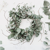 Uieke 50PCS Birch Twigs – 17 Inch Natural Dried Plants Decorative Birch Branches for DIY Crafts, Birch Sticks for Vases Wedding Arrangements Home Wreath Decor Uieke