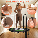 BCAN Adult Mini Trampoline, 40" Fitness Trampoline with Bungees, U Shape Adjustable Foam Handle, Stable & Quiet, Indoor Outdoor Workout-Green BCAN