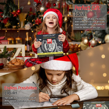 MARTCOLOR Drawing Sketching Pencil Set, 20 Pieces, Graphite Pencils (14B-4H), Charcoal Sticks, Stump, Eraser, Sharpeners, Ideal for Drawing Art, Sketching, Artist Pencils for Beginners & Pro Artists MARTCOLOR