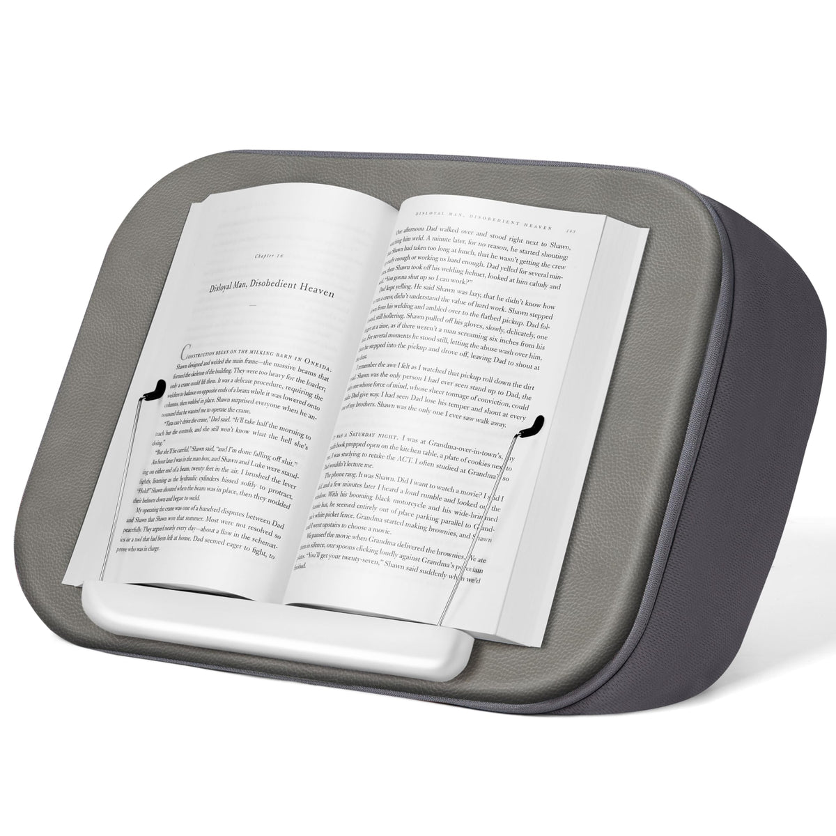 InnoGear Lap Beanbag Pillow Stands Book Holder, Hands-Free Tablets Mount Holder Cozy for Reading in Bed Desktop Accessories for iPad Kindle Books E-Reader InnoGear