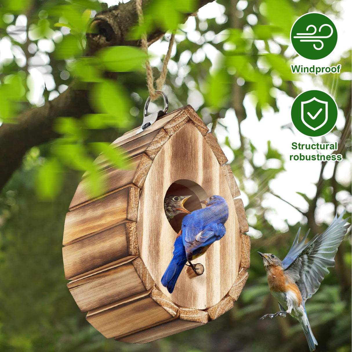 CLACKIBUKVYZ Hummingbird House,Wooden Birdhouse for Outside,Hanging Small Bird Houses,Wild Bird Nesting Box Outdoor Hummingbird House for Bluebird,Hummingbird,Finch,Cardinals CLACKIBUKVYZ