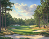 ZUVRDIAI Golf Course Paint by Numbers for Adults Beginner, Golf Club Paint by Number on Canvas Without Frame, Acrylic DIY Oil Painting for Holiday Gift Home Decor Golf Sport Artwork(16x20Inch) ZUVRDIAI