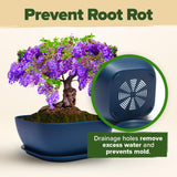 HOME GROWN Bonsai Tree Kit – 6 Heirloom Varieties with Unique Pots – DIY Bonsai Starter Kit for Adults & Beginners – Christmas Gift for Men Women Gardeners Plant Lovers – Indoor Growing Kit HOME GROWN