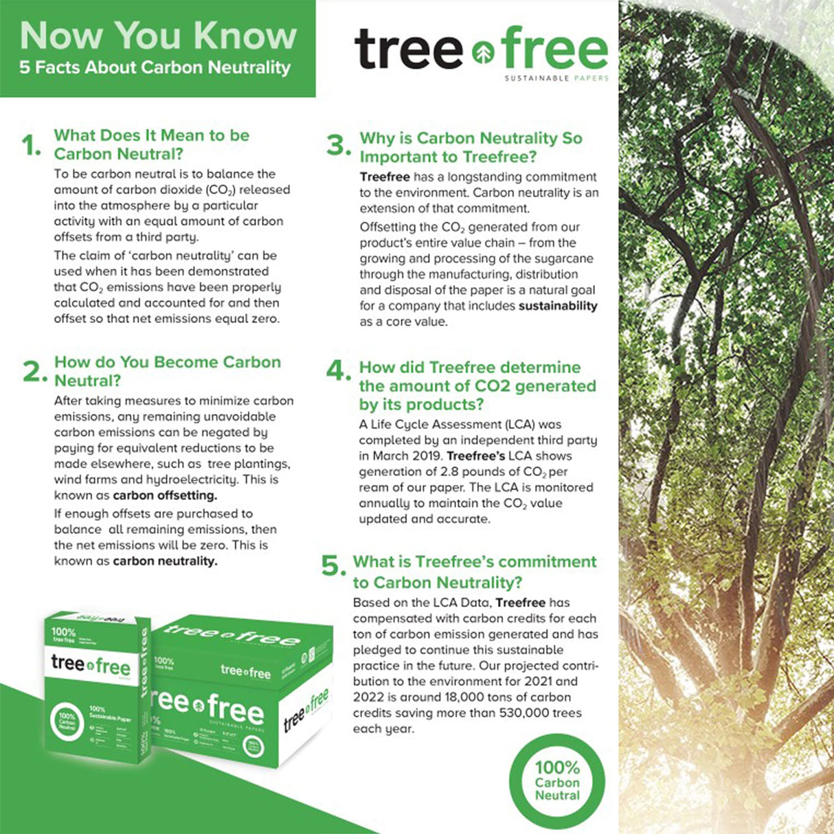 Tree Free Copy Paper, 20 LB, 8.5" x 11", 92 Bright, 100% Tree Free Carbon Neutral Acid Free, Made from Sugarcane Waste Fiber (500/Ream) BAZIC Products