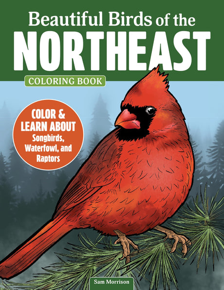 Beautiful Birds of the Northeast Coloring Book: Color & Learn About Songbirds, Waterfowl, and Raptors (Design Originals) Adult Coloring Pages for Birdwatchers and Nature Lovers - One-Sided Designs Design Originals