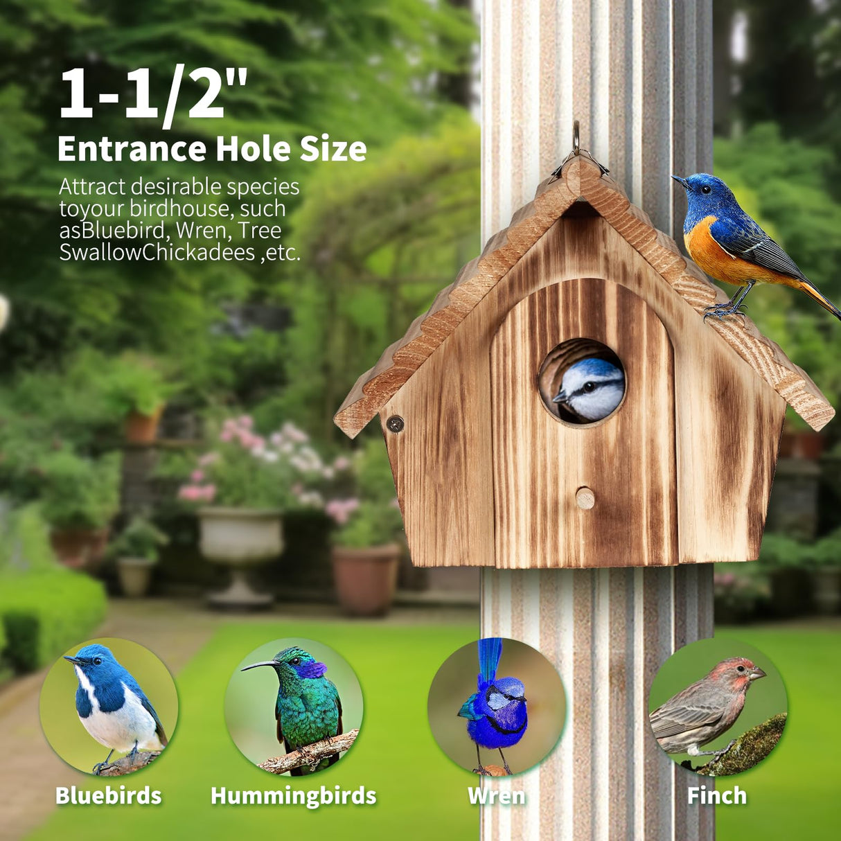 NATUREYLWL Bird House for Outside - Hanging Outdoor Birdhouse - Natural Wood Bird Nesting Box for Bluebirds, Hummingbirds, Finches, Wrens, Cardinals - Easy to Clean & Durable Garden Bird Shelter NATUREYLWL