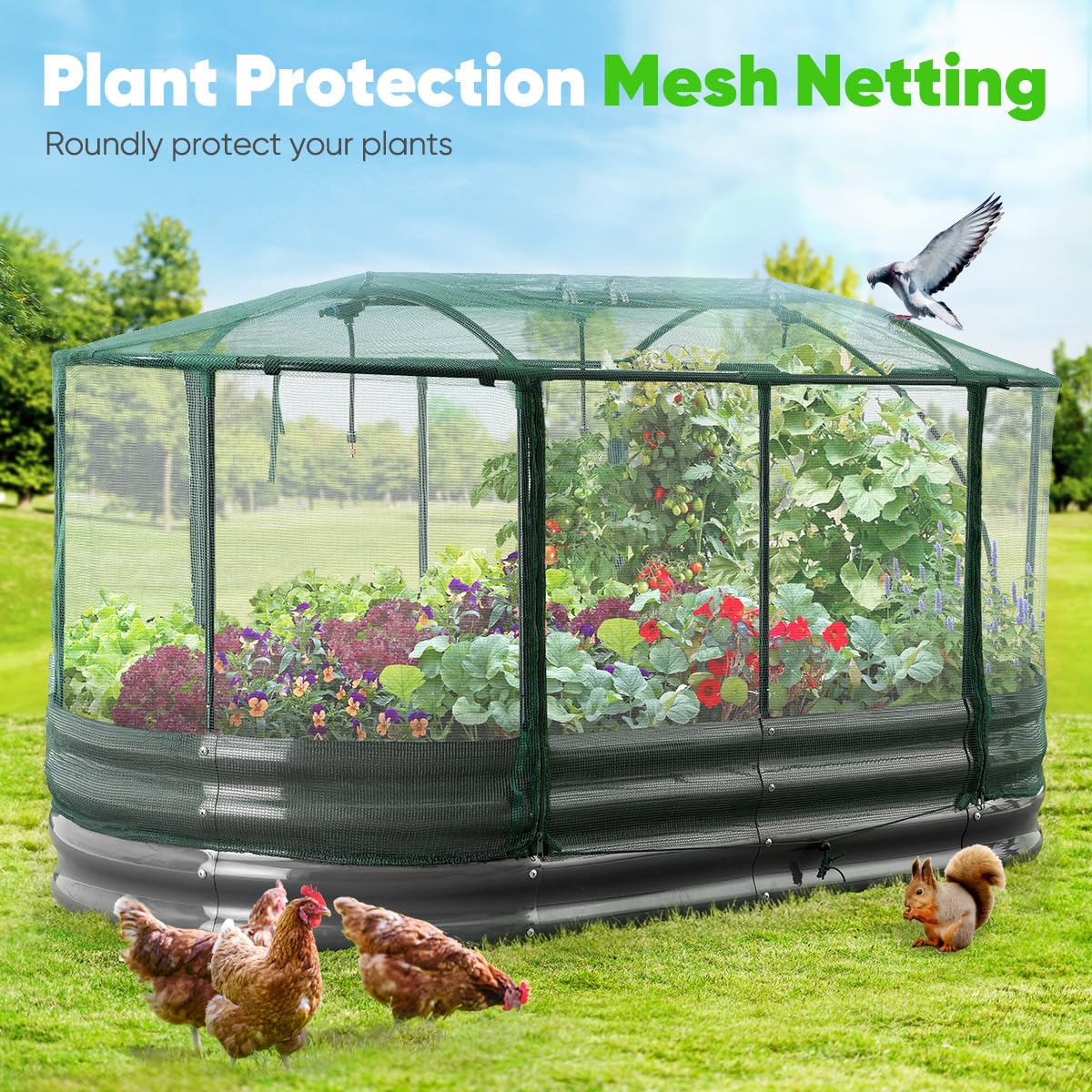 Quictent Galvanized Raised Garden Bed Kit with Self Watering System and Mesh Cover, Large Oval Metal Outdoor Planter Garden Boxes for Vegetables Herbs Flowers, 6x3x1Ft Quictent