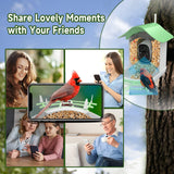 Smart Bird Feeder with Camera,AI Identify Bird Species,Auto Record 2K Birds Video in Backyard Garden,Live View,Solar Powered Charging,Ideal Gifts for Family and Bird Lovers (Green) Aprilmin