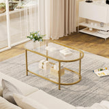 Wolawu Coffee Table Gold Oval Glass Table for Living Room,2 Tiers Oval Center Table with Sturdy Metal Frame, Modern Tempered Glass Tables for Bedroom Living Room Home Office Wolawu