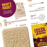 Dan&Darci Real Fossil Dig Kit for Kids - Science Kits for Boys & Girls Age 8-12 - Birthday Gift Ideas for 8, 9, 10, 11, 12 Year Old Boy or Girl - Fossils Digging STEM Toys for Ages 8-13 Dan&Darci