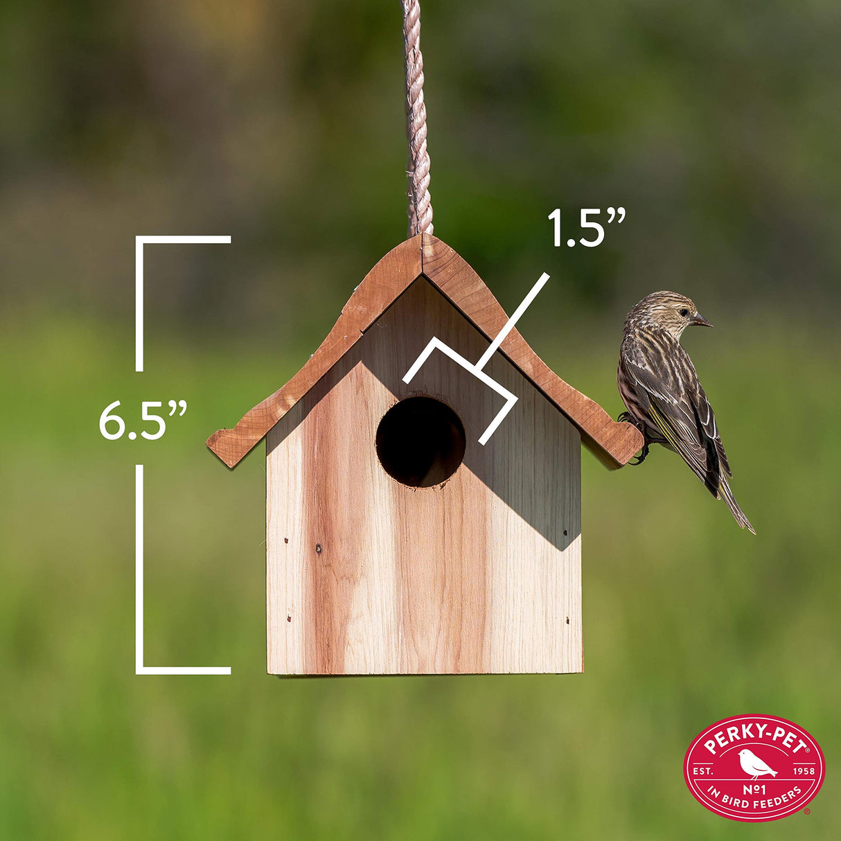 Perky-Pet 50301 Wren Home Birdhouse Perky-Pet