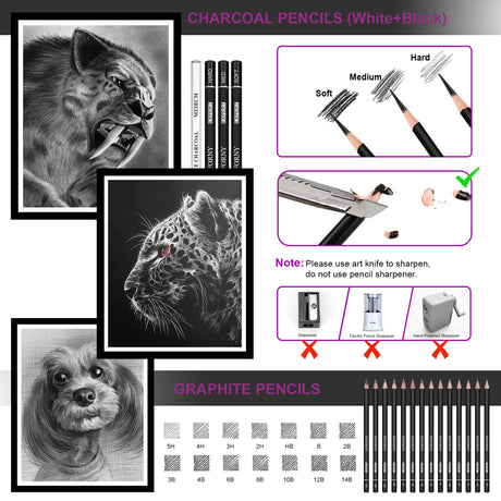 HIFORNY 28 PCS Sketching Drawing Pencil Set,Sketch Pencils Art Supplies with Graphite,Charcoal,Blending Tools,Accessories,Drawing Kit for Adults Artists in Canvas Roll Up Case HIFORNY