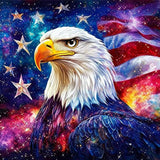 MEIYUDA Independence Day Eagle Diamond Painting Kits, DIY 4th of July Round Diamond Art Kits for Adults, American Flag Full Drill Diamonds Painting Gem Art for Home Wall Decor 12x12in MEIYUDA