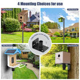 Gtongoko Smart Bird Feeder Pole, 79 Inch New Upgraded Hummingbird House Pole for Outdoor, Bird Buddy Pole, Bluebird House Pole Mount Kit, Adjustable Heavy Duty Bird Feeder Stand, Black Gtongoko