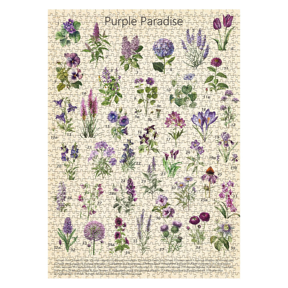 Vintage Purple Flower Puzzle for Adults, Botanical Purple Flower Plant Puzzles 1000 Pieces, Nature Garden Floral Jigsaw Puzzle BBOLDIN