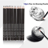 Heshengping Drawing Sketch Pencil Set 14pcs Sketching Pencils 12B 10B 8B 7B 6B 5B 4B 3B 2B B HB 2H 4H 6H Graphite Pencils for Kid Adults Artists Student Beginners Professional Heshengping